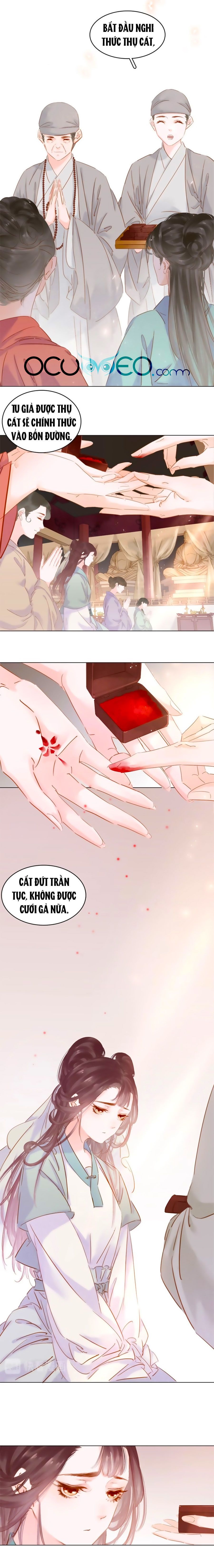 tiểu sư phụ, tóc giả người rơi rồi! chapter 16 4