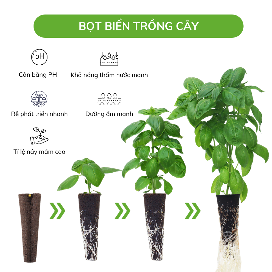 Viên trụ ươm mầm hạt giống thủy canh MONROVIA đầy đủ chất dinh dưỡng, tỉ lệ nảy mầm cao