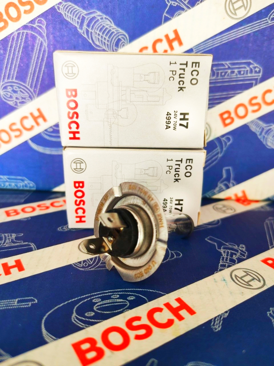 Bóng Đèn Xe Tải Bosch H7 24V 70W