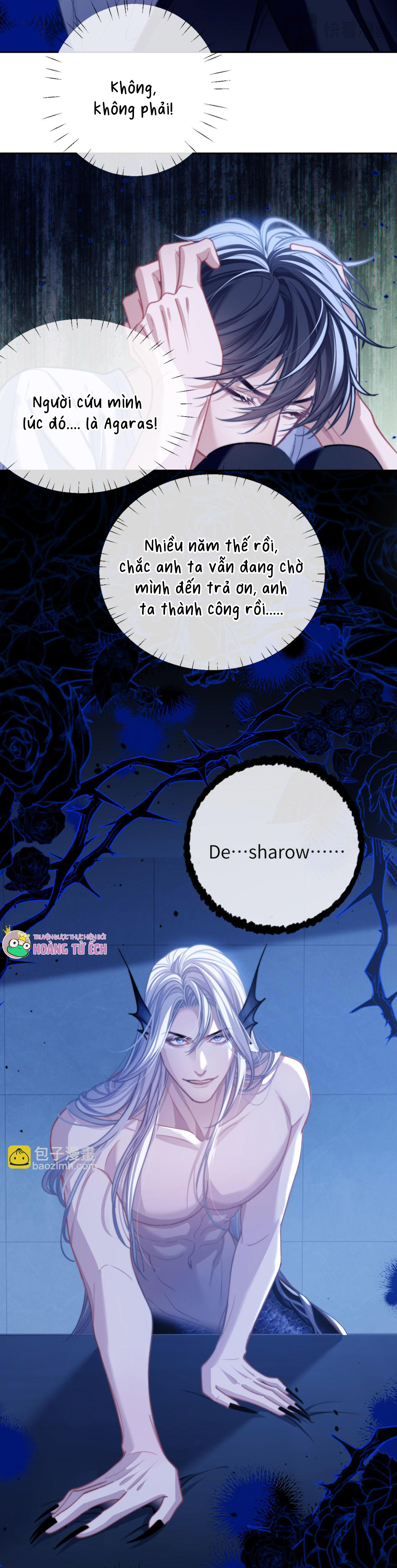 nhân ngư dessaro chapter 15 19