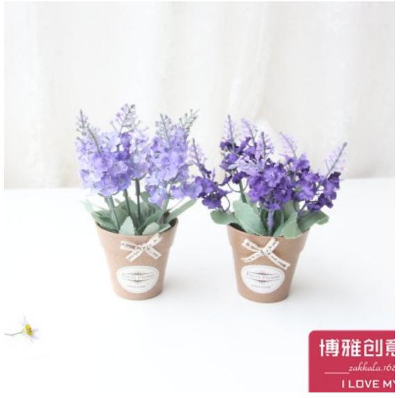 Chậu hoa lavender nhỏ xinh MINI