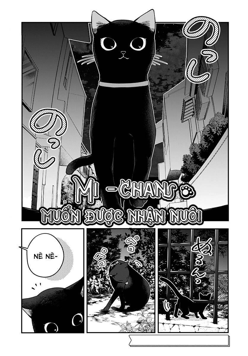 mi-chan muốn được nhận nuôi! chapter 5 1