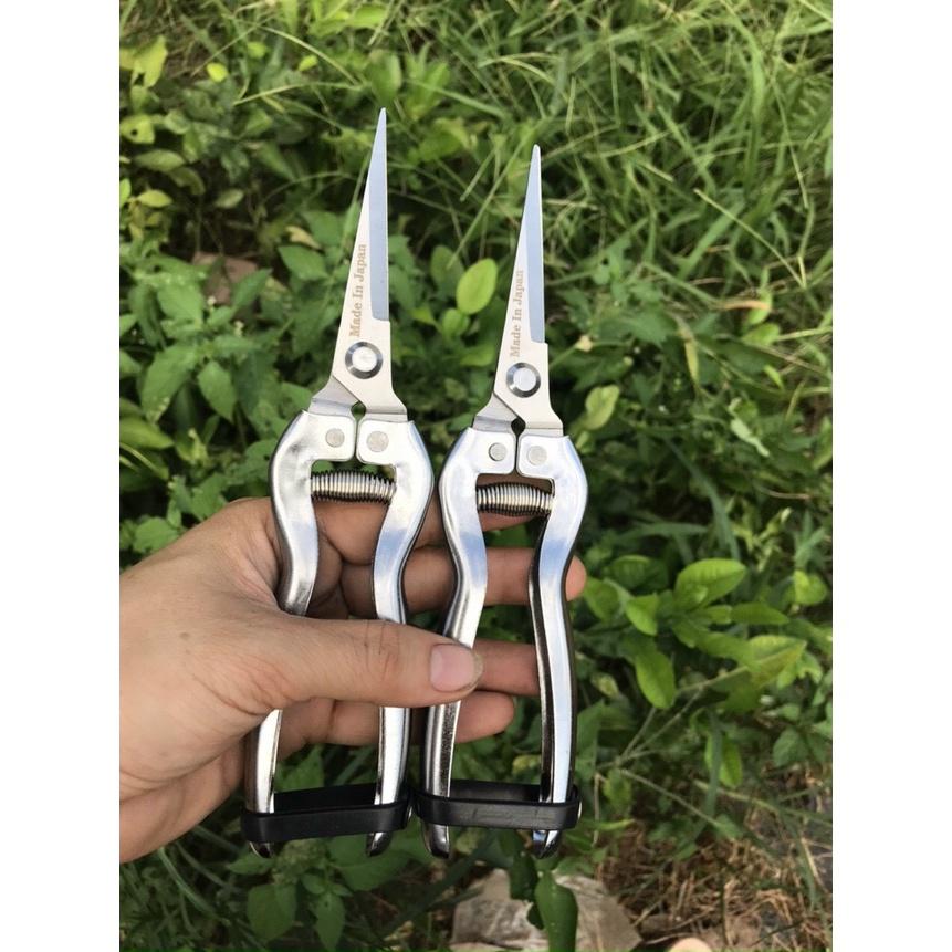 SET Bộ 3 Dụng Cụ Cắt Tỉa Cây Cảnh, Bonsai Hàng Nhật Bản