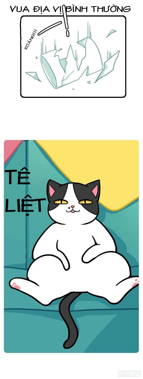 hello dư tuyết đặc chapter 1 5