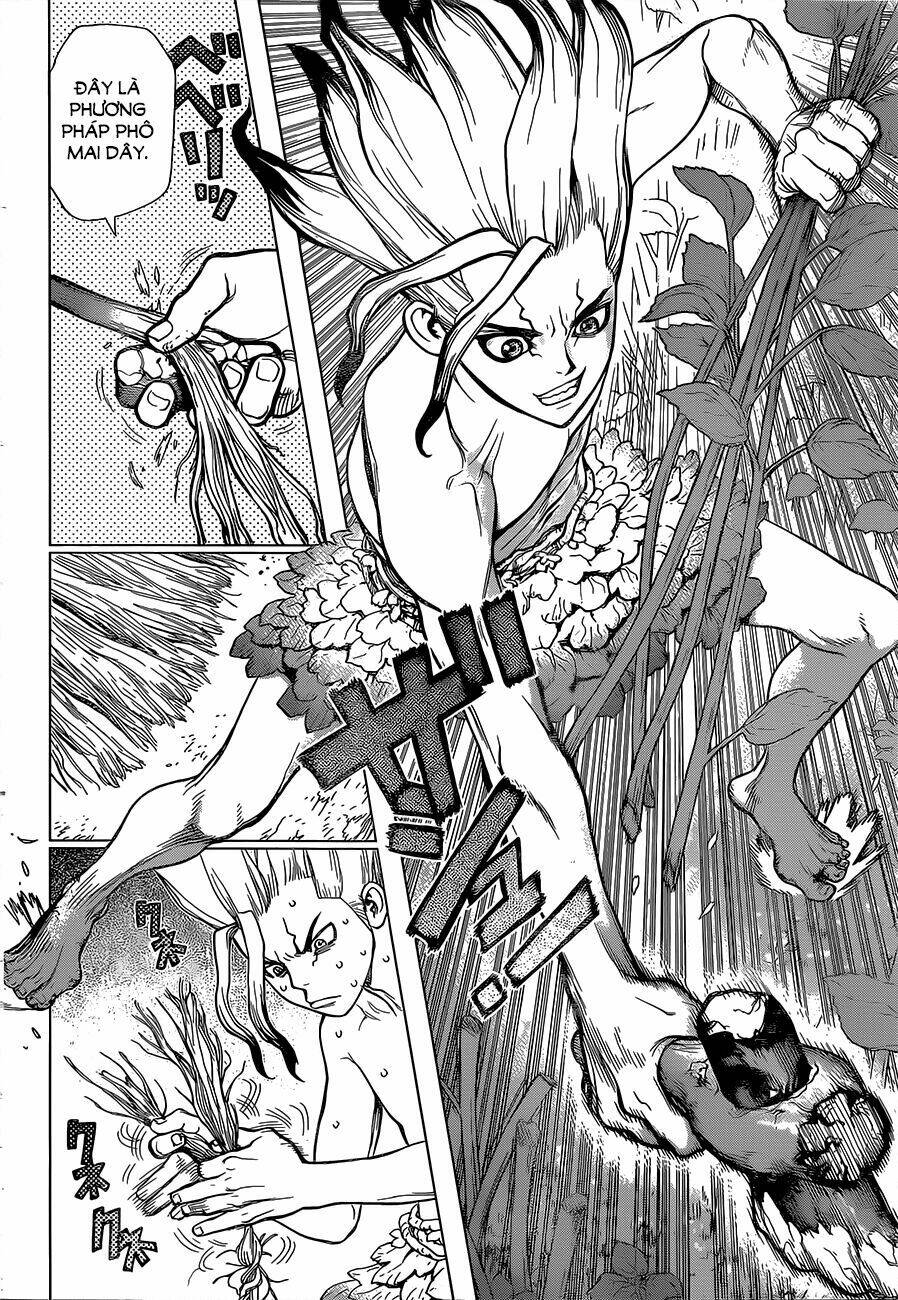 dr.stone - hồi sinh thế giới chapter 13 14