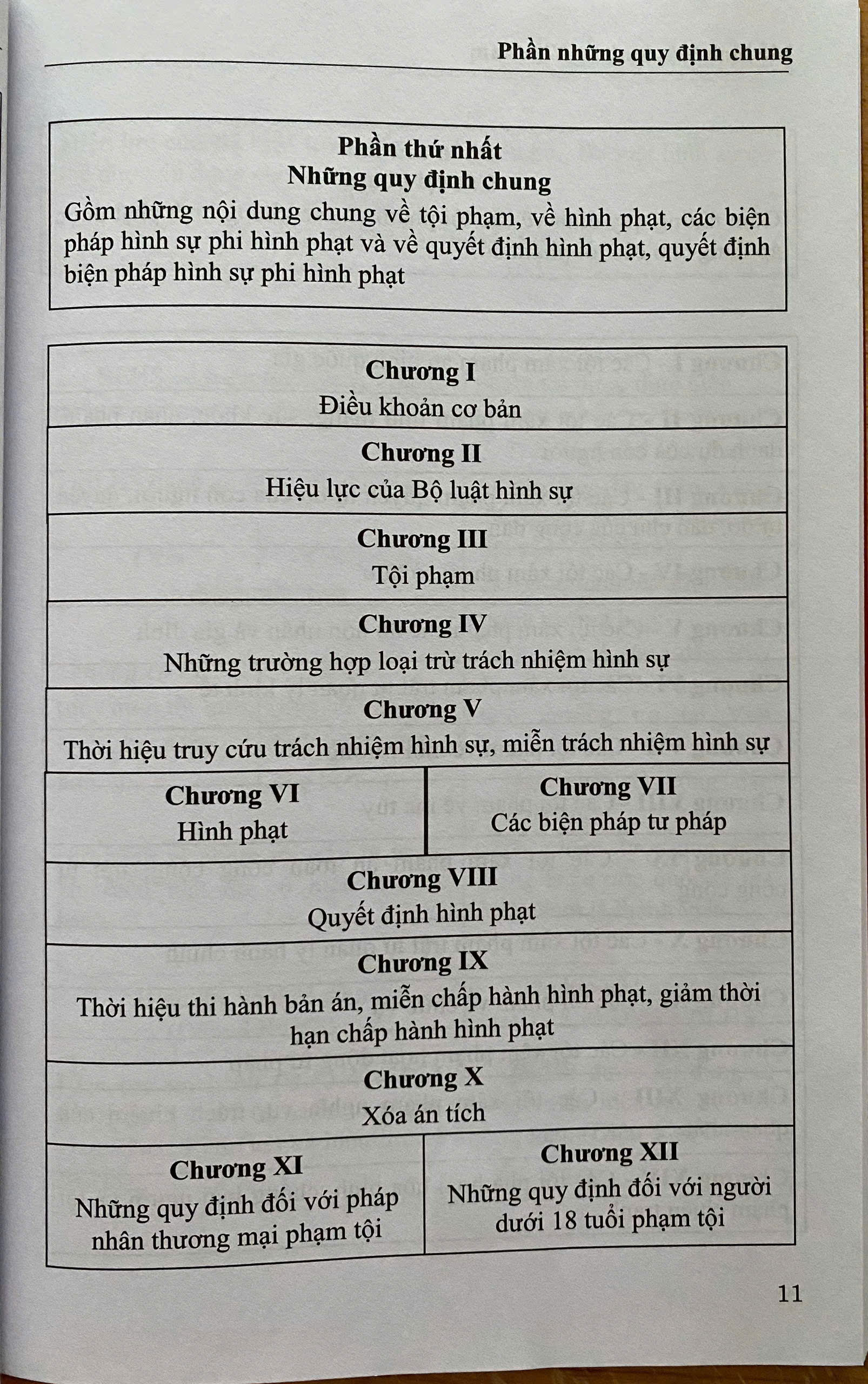 Mô Hình Luật Hình Sự Việt Nam
