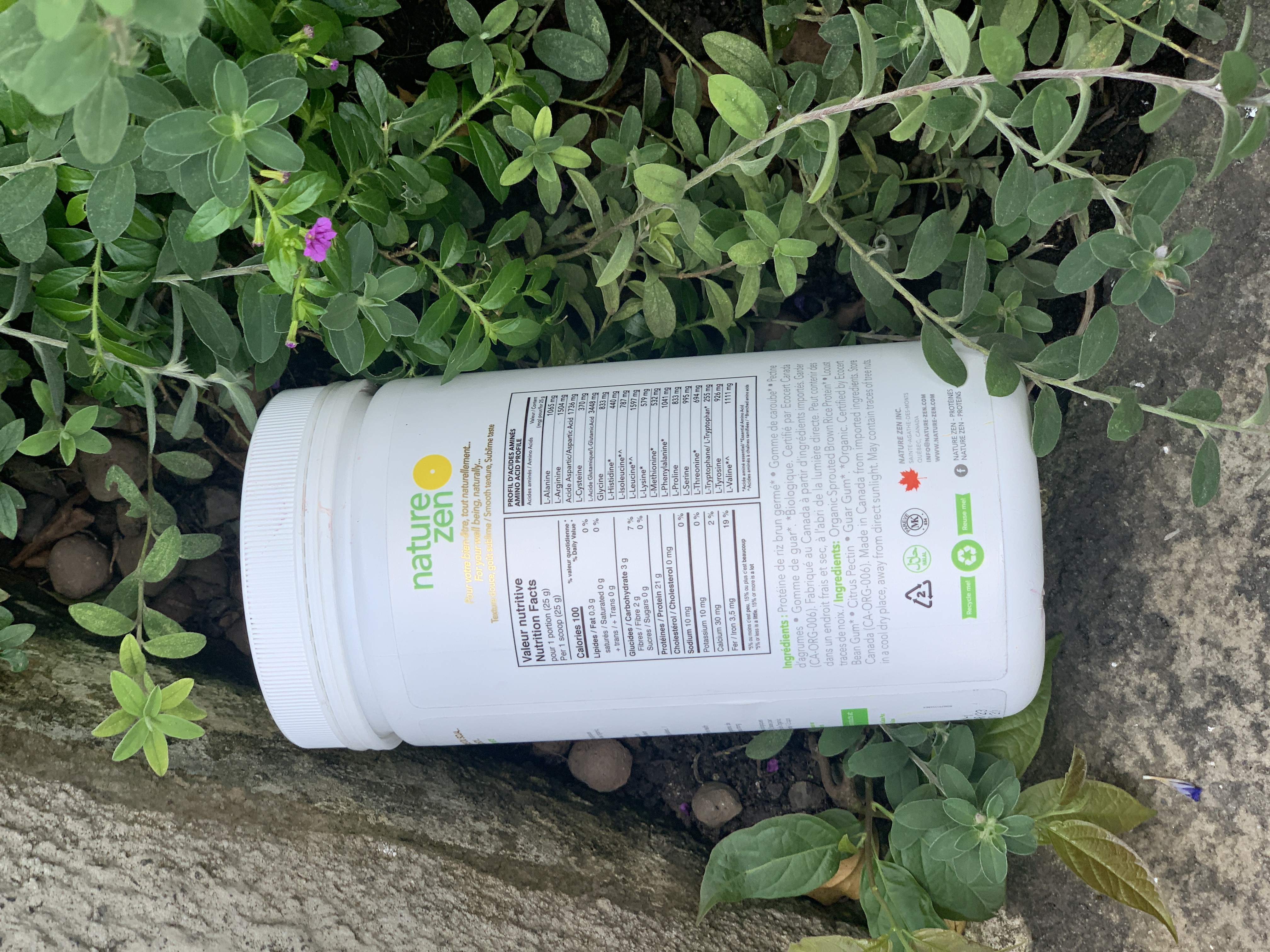NATURE ZEN - BỘT PROTEIN CÔ ĐẶC TỪ NGŨ CỐC HỮU CƠ  VỊ TỰ NHIÊN