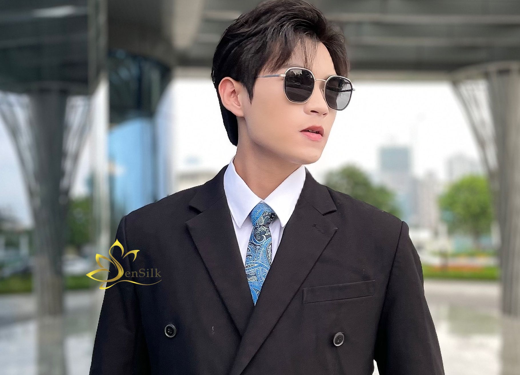 Cà Vạt Nam Cao Cấp SenSilk CAVATS10 – Vietnam Silk Tie