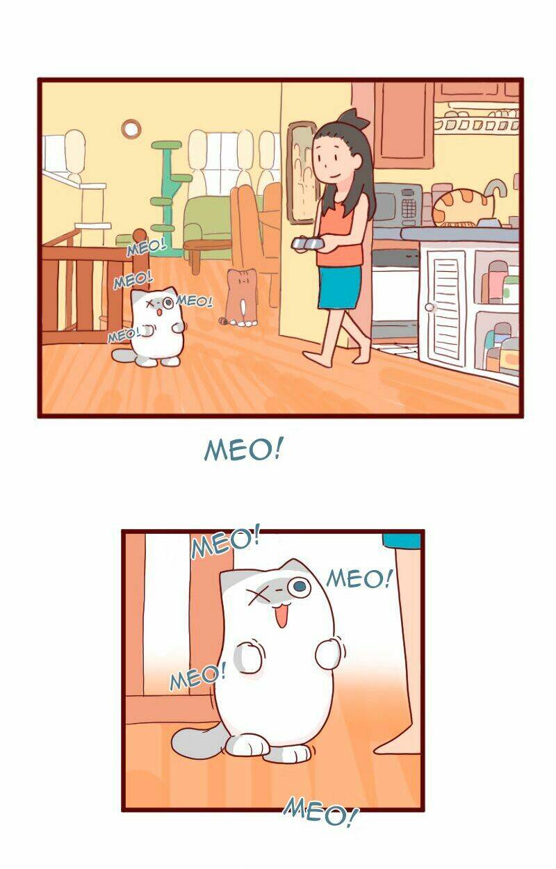 saphie: chú mèo một mắt chapter 8 2