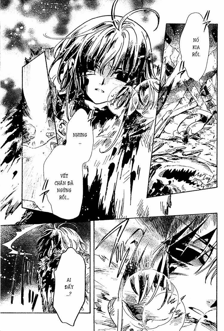 huyền thoại đôi cánh chapter 132 13