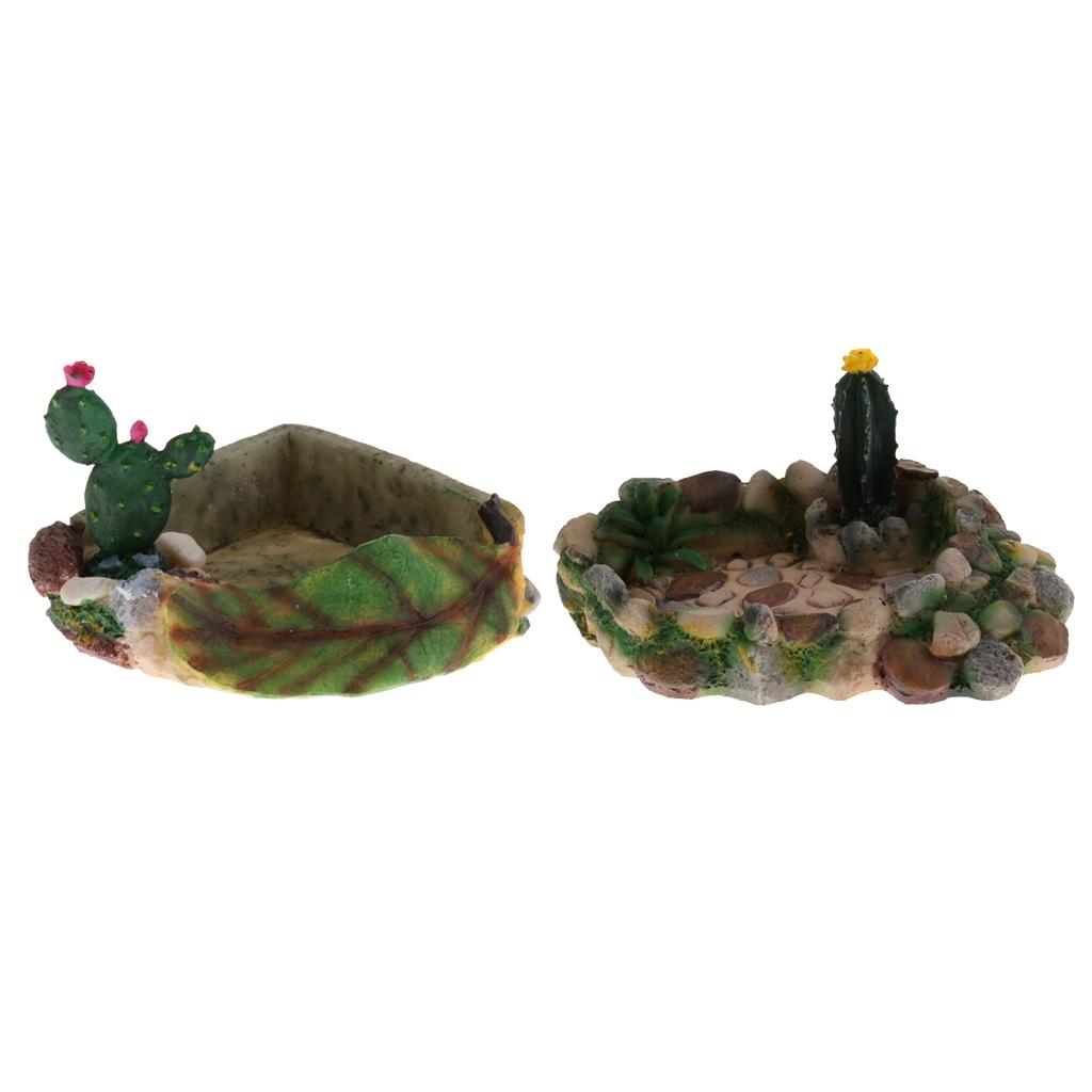 Reptile Food Water Dish Vivarium Decoration