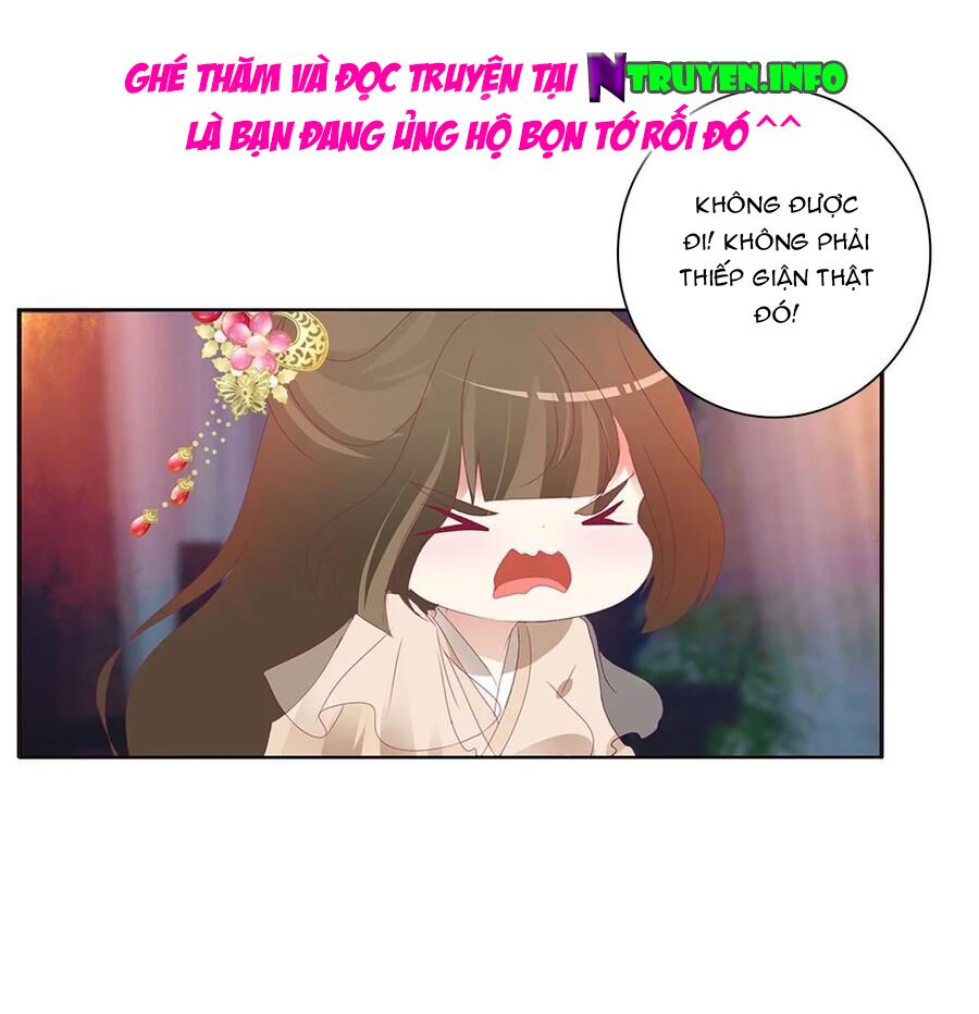 thông linh phi chapter 597 6