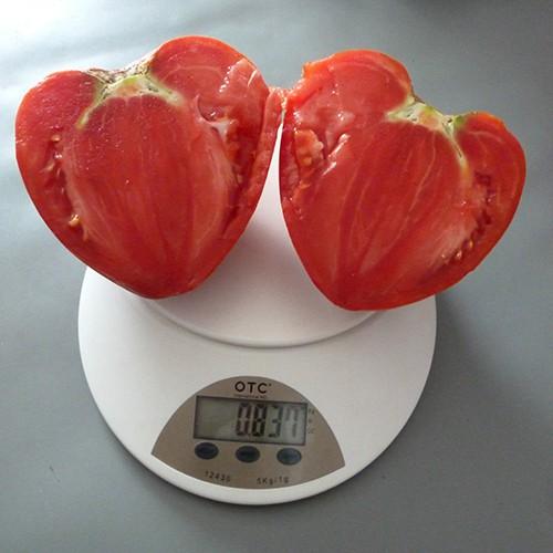 Hạt giống cà chua hình trái tim 30 hạt/gói