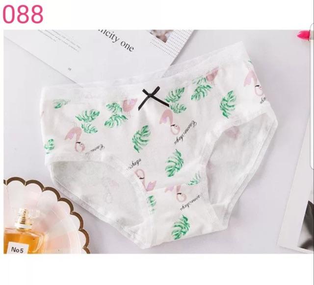 Combo 5 Quần Lót Nữ Cotton Dễ Thương 088 – Mềm Mại, Thấm Hút, Co Giãn