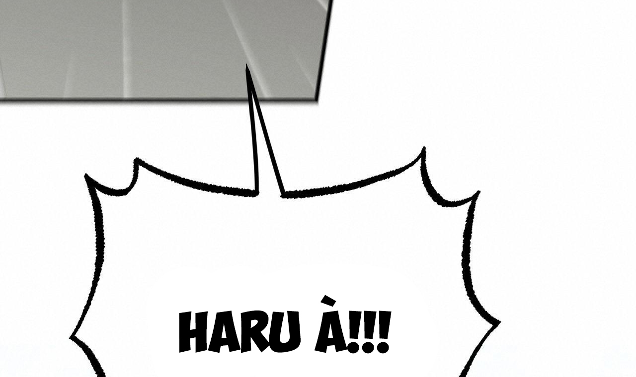 những chú thỏ của hapypy chapter 56 64