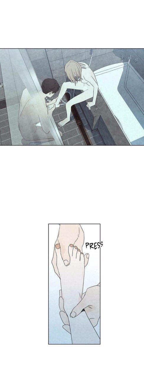 summer solstice point chapter 19 11