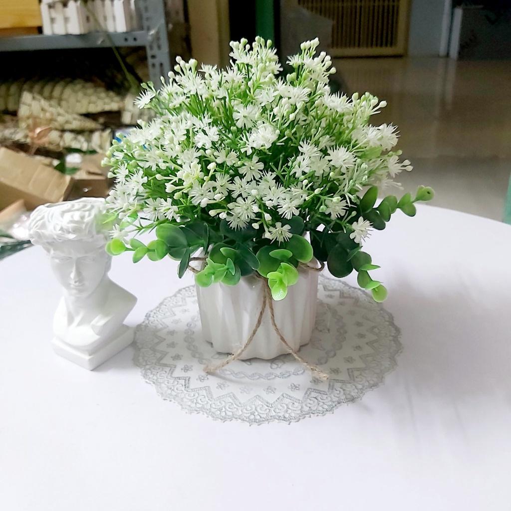 Hoa cỏ nhân tạo, bình hoa baby để bàn, kệ tủ trang trí nhà cửa, chậu sứ mini gân sọc độc đáo
