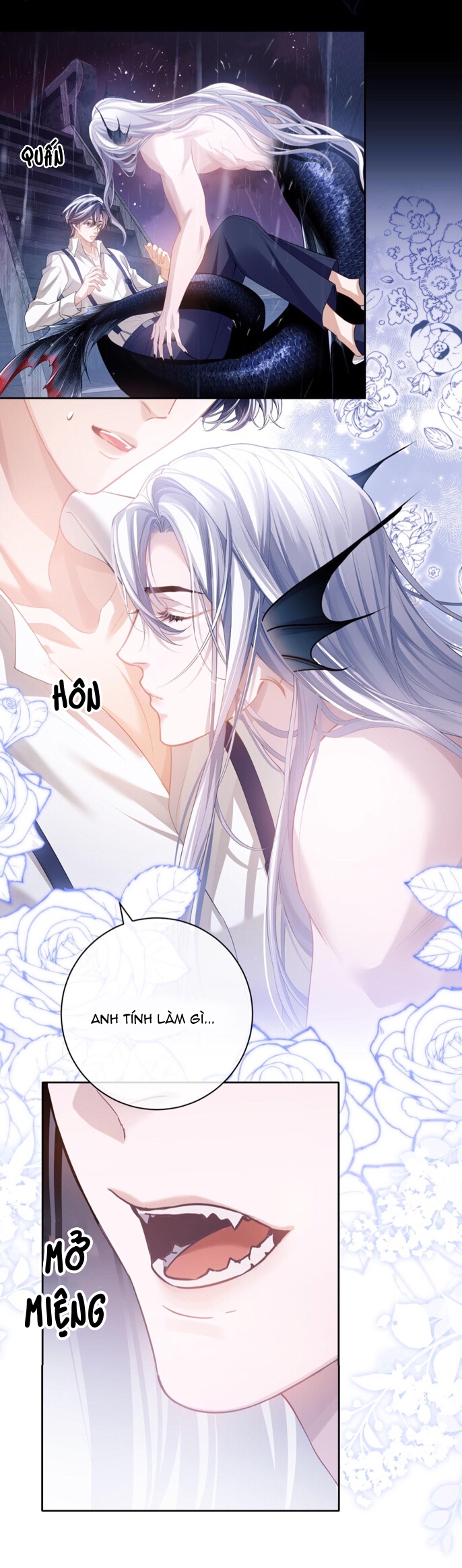 nhân ngư dessaro chapter 6 19