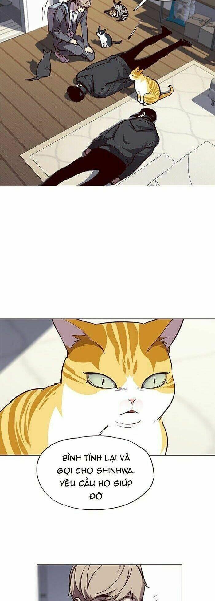 biến thân thành mèo chapter 58 32