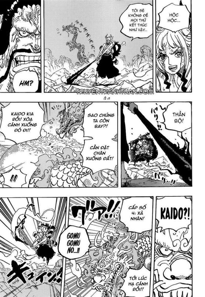 đảo hải tặc - one piece chapter 1025 12