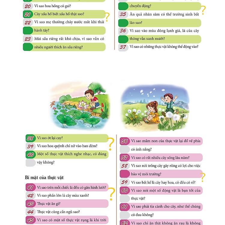 Sách 10 Vạn Câu Hỏi Vì Sao - Đôi Mắt, Mồ Hôi Và Giấc Mơ B38