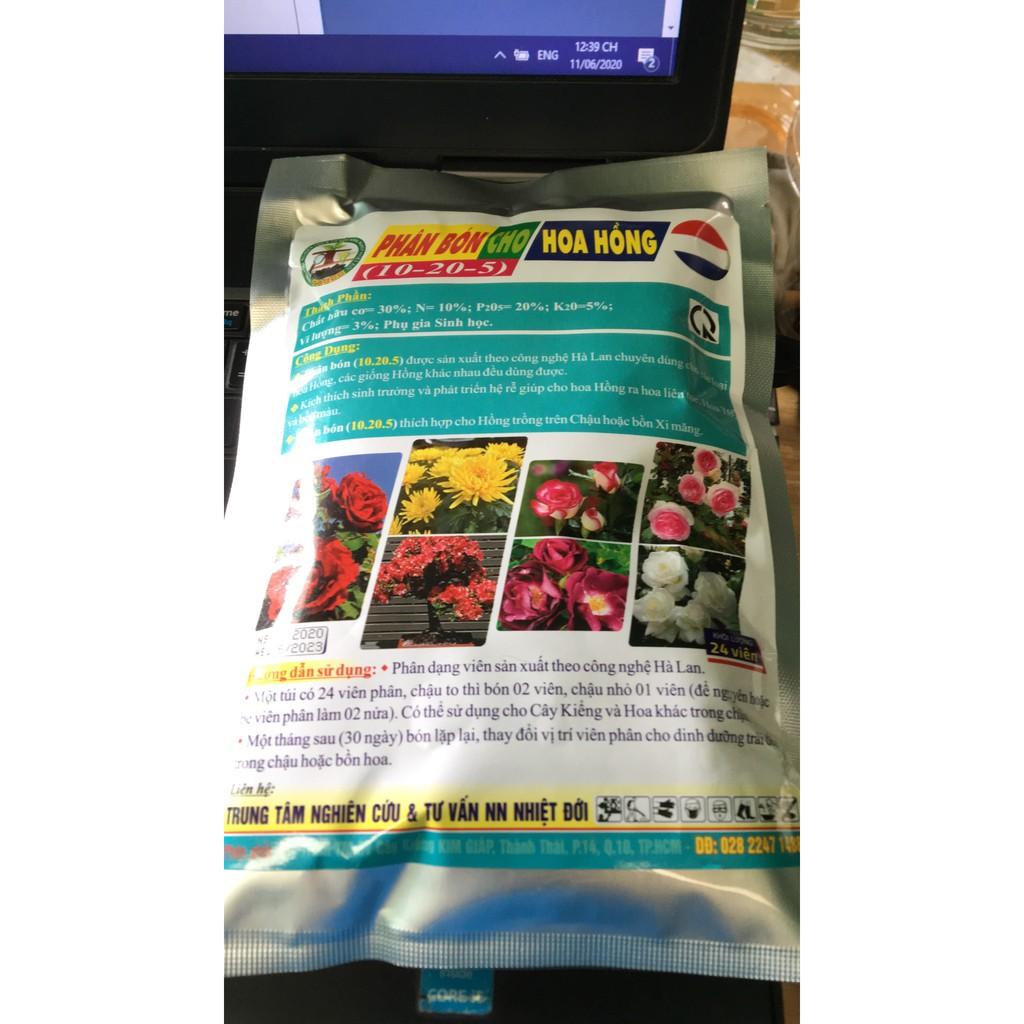 Phân bón cho hoa hồng NPK 10-20-5 - gói 24 viên