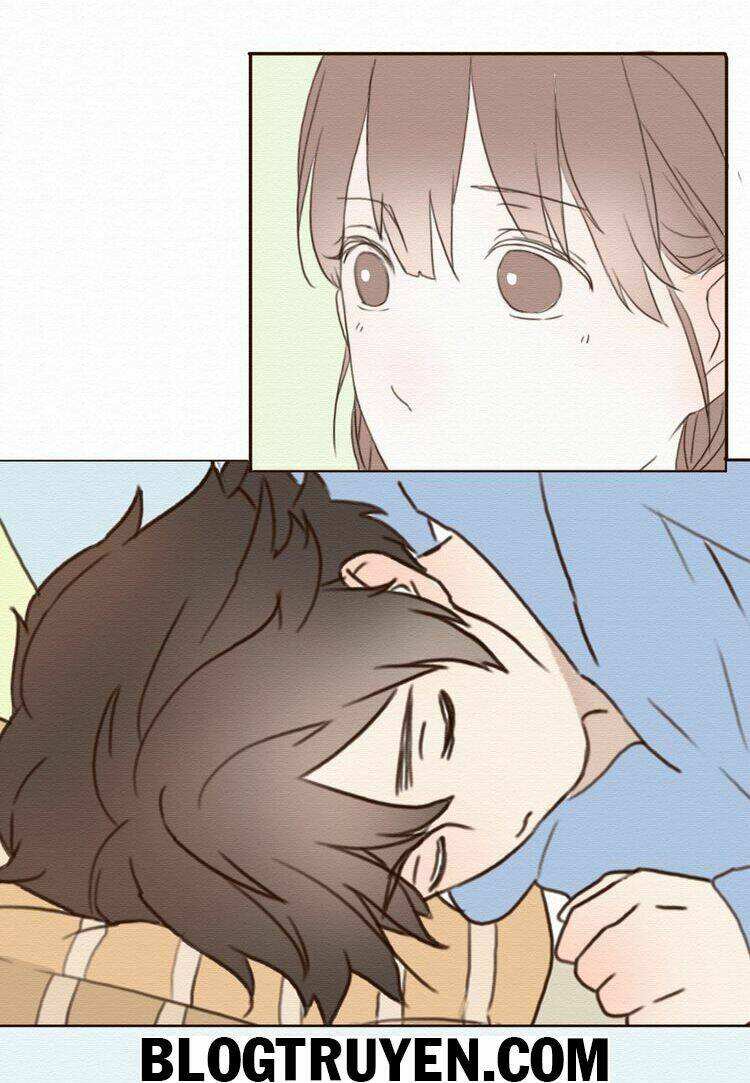 tình yêu không nói dối chapter 14 36