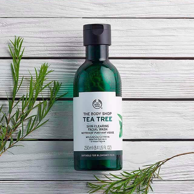 tea-tree-skin-clearing-facial-wash-6-640x640_1.jpg (640Ã640)