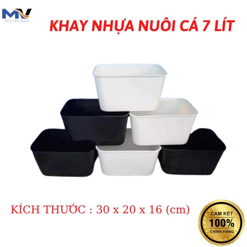 Khay nhựa nuôi cá Guppy kích thước 30x20x16 cm