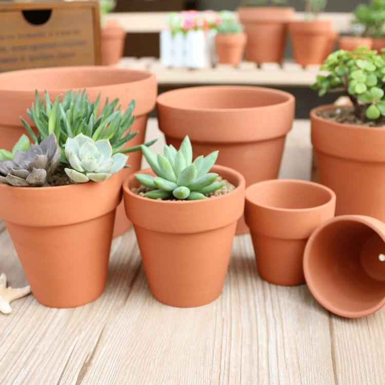 Chậu đất nung trồng sen đá xương rồng, chậu trồng sen đá trang trí nhà và bàn làm việc, văn phòng 10x10- Gốm Nghệ Nhân