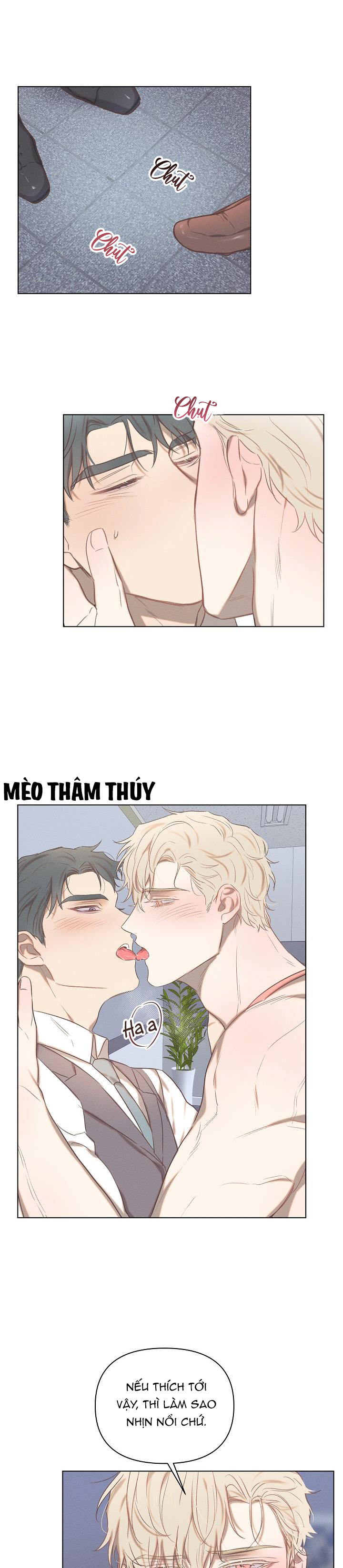 nơi tình yêu định mệnh chapter 9 1