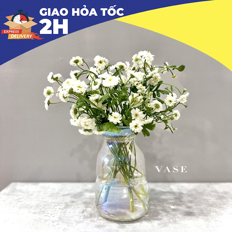 Bình hoa thủy tinh rẻ đẹp - dễ cắm hoa