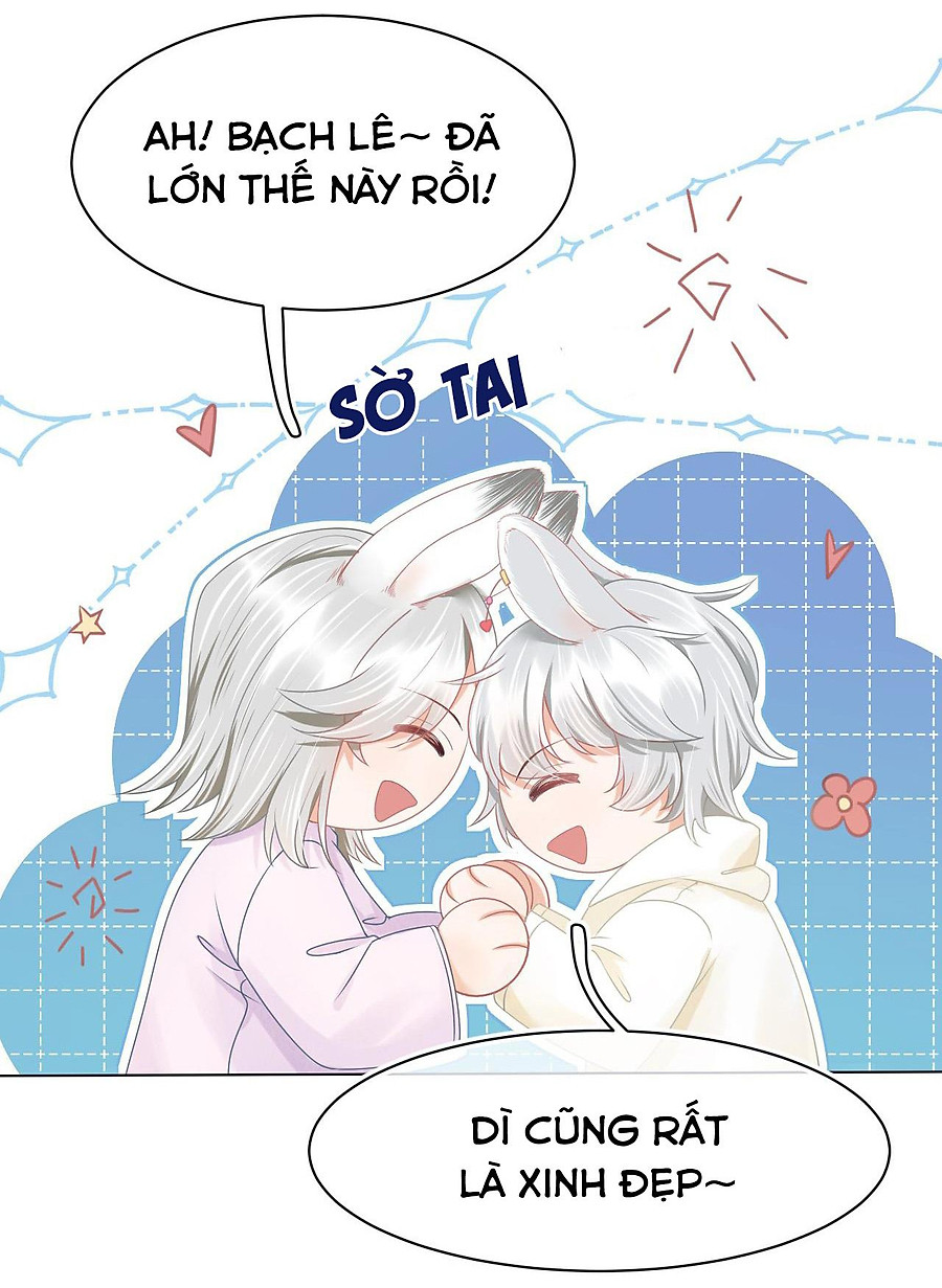 [ss2] một ngụm ăn cả thỏ con chapter 0 21
