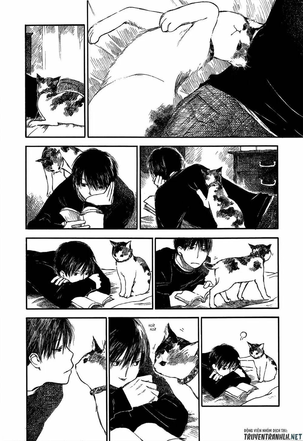 natsu no zenjitsu chapter 18.5 5