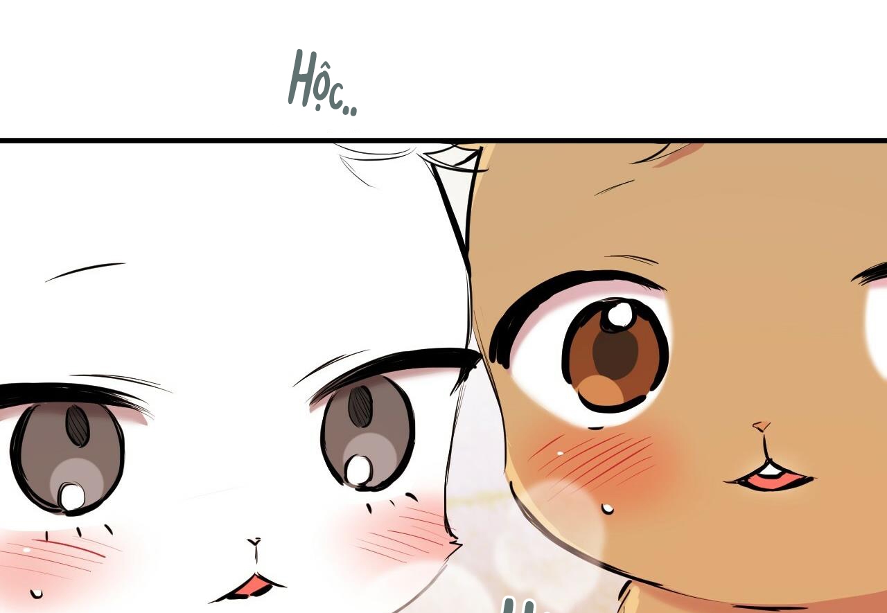 đàn thỏ của habibi chapter 29 217