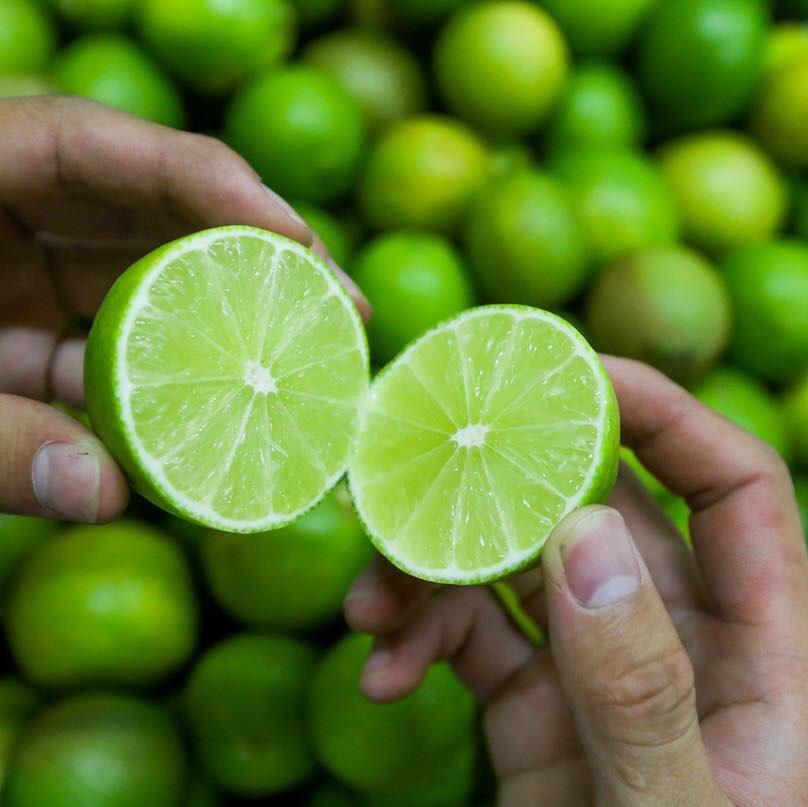 CÂY GIỐNG CHANH KHÔNG HẠT SIÊU SỚM