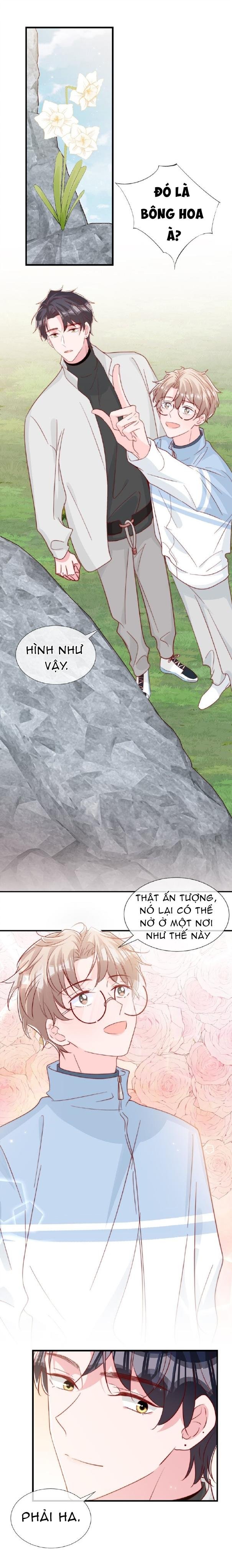 quả chanh và tia chớp chapter 57 8