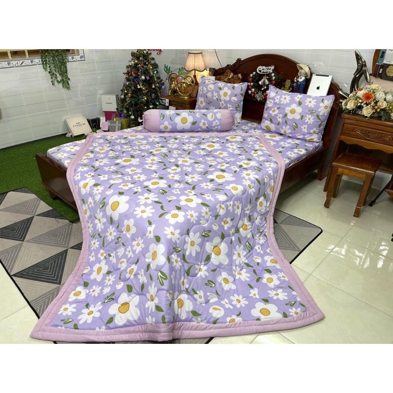 Drap thun hàn quốc