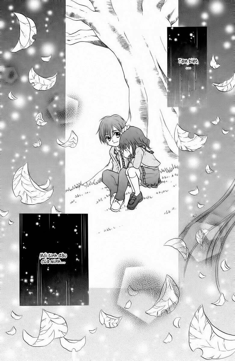 kitchen no ohime-sama - nàng công chúa bánh ngọt chapter 32 32