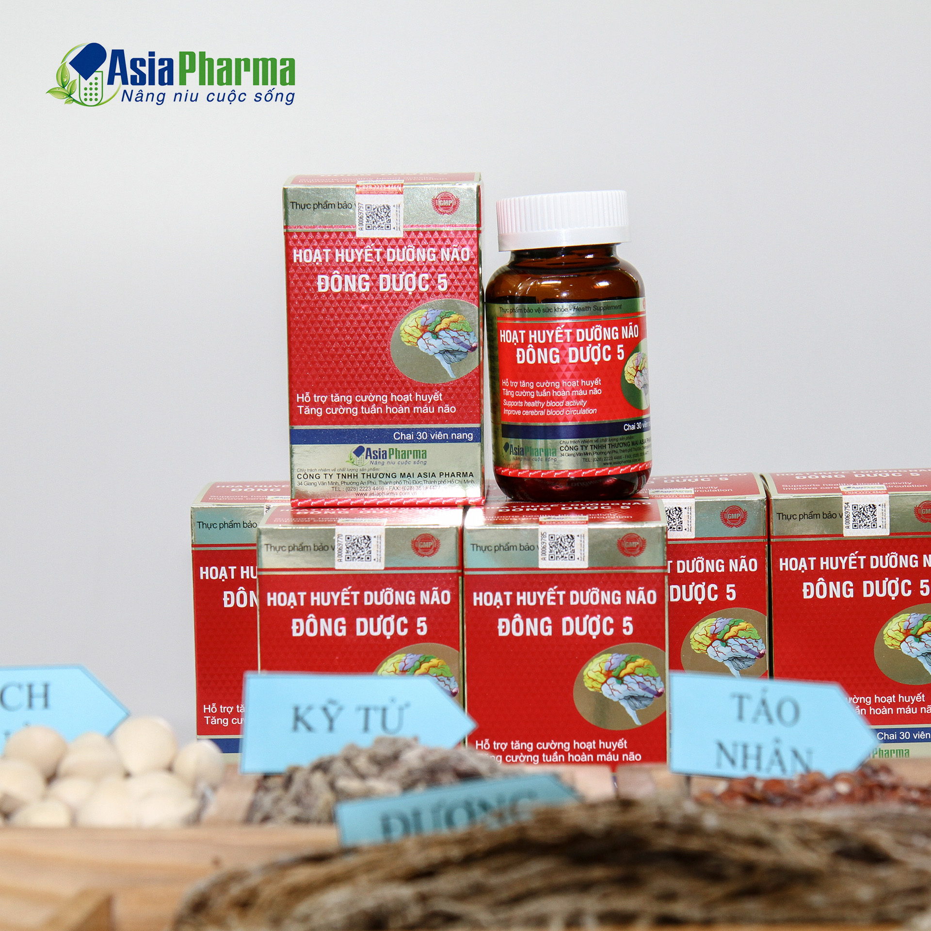 Combo 12 hộp viên uống hoạt huyết dưỡng não đông dược 5 hỗ trợ thiểu năng tuần hoàn não, giảm đau đầu, thực phẩm chức năng bổ não