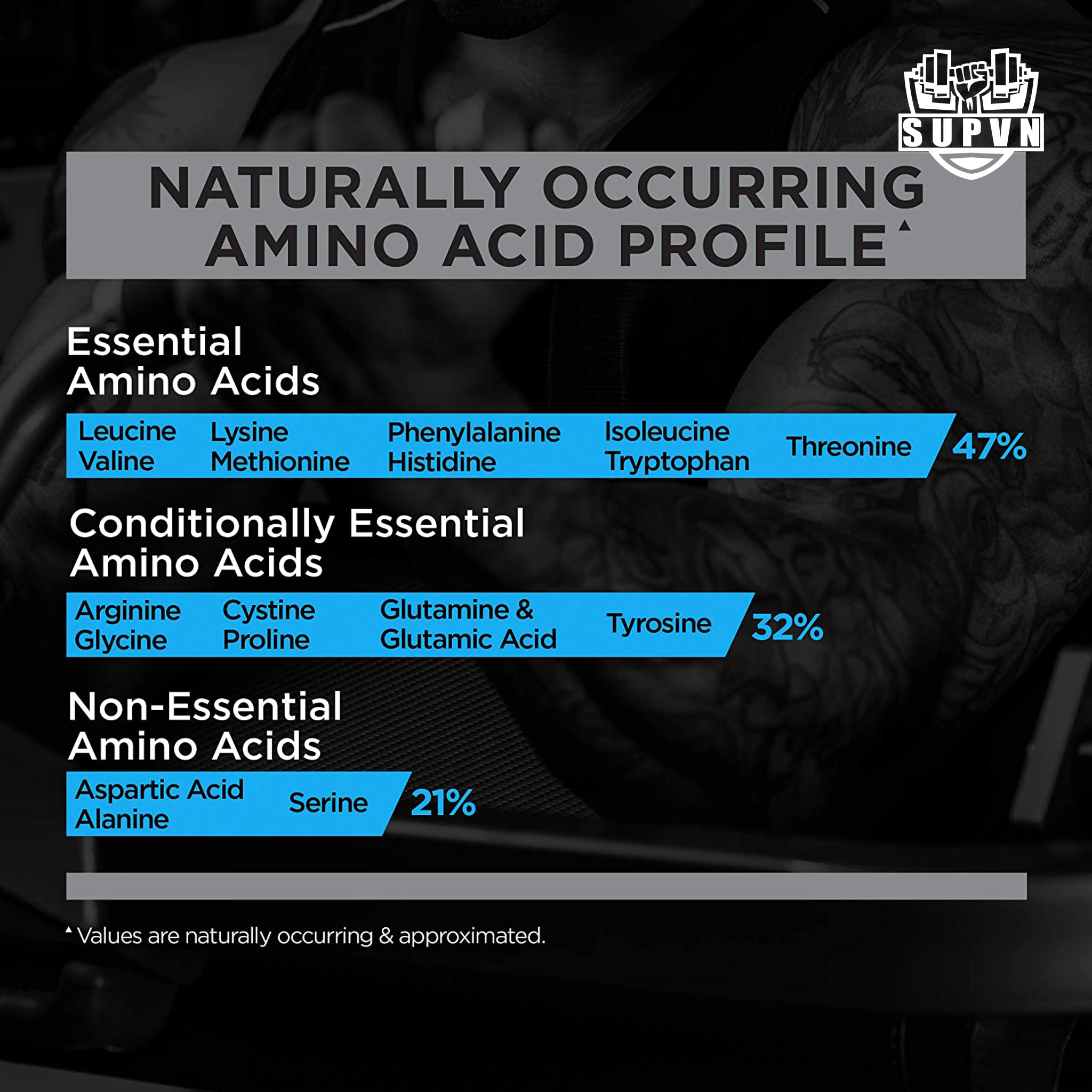 Rule 1 Whey Blend 10lbs (4.54kg) - Sữa tăng cơ bổ sung Protein cho người tập gym - R1 Whey Concentrate