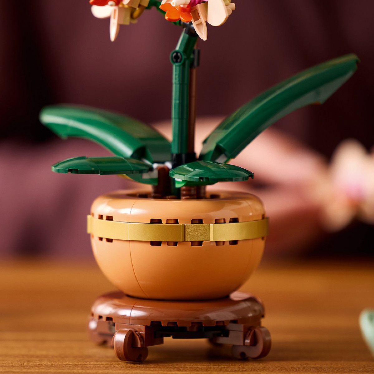 LEGO BOTANICALS 10343 Đồ Chơi Lắp Ráp Hoa Lan Nhỏ (274 Chi Tiết)