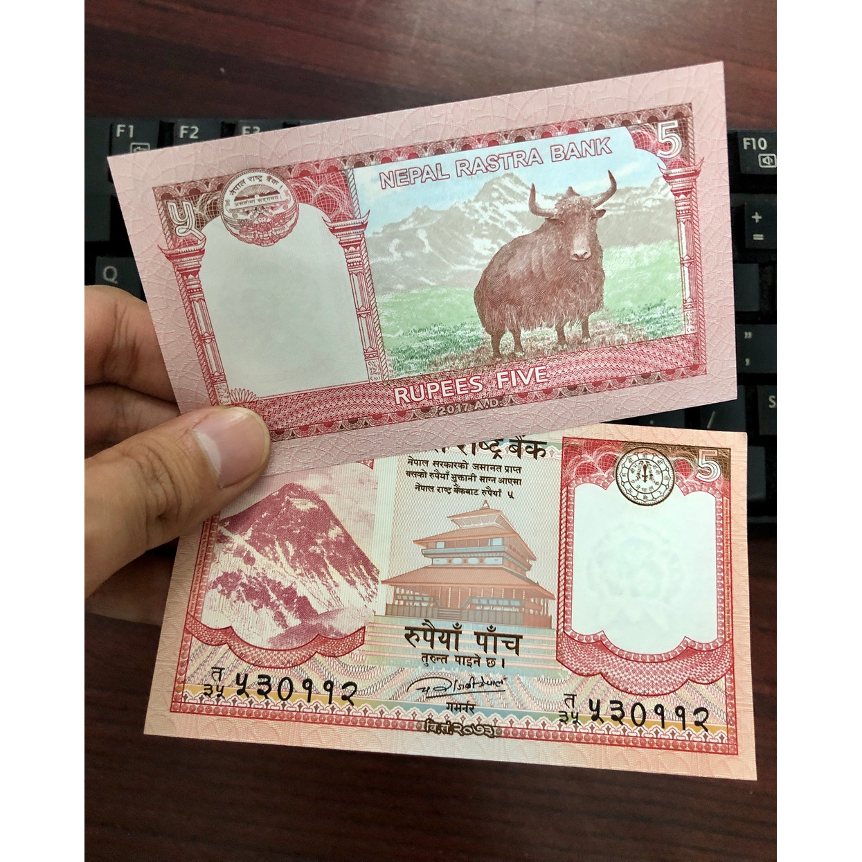 Tờ tiền hình con trâu Nepal 5 Rupees bên cạnh đỉnh Hymalaya kèm bao lì xì - The Merrick Mint