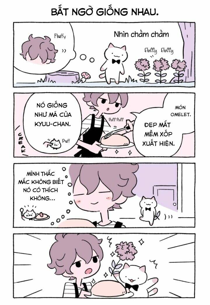 chú mèo kỳ diệu kyuu-chan chapter 639 3