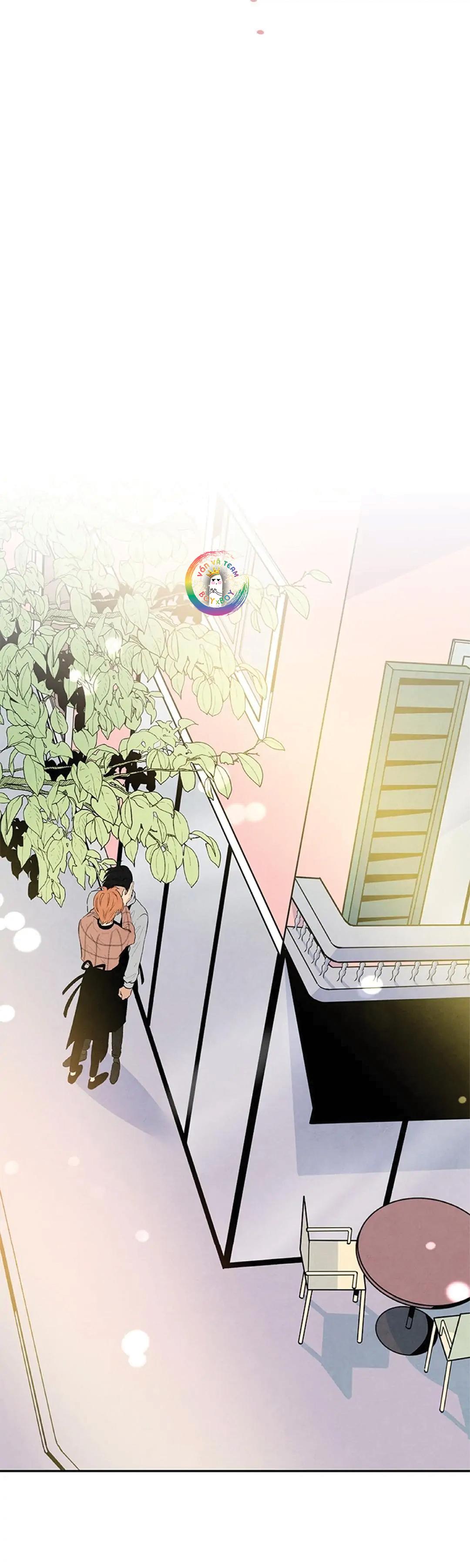 bona sort chapter 23 4