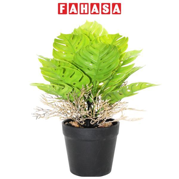 Chậu Cây Nhựa Trang Trí - WanLongDa 769-7