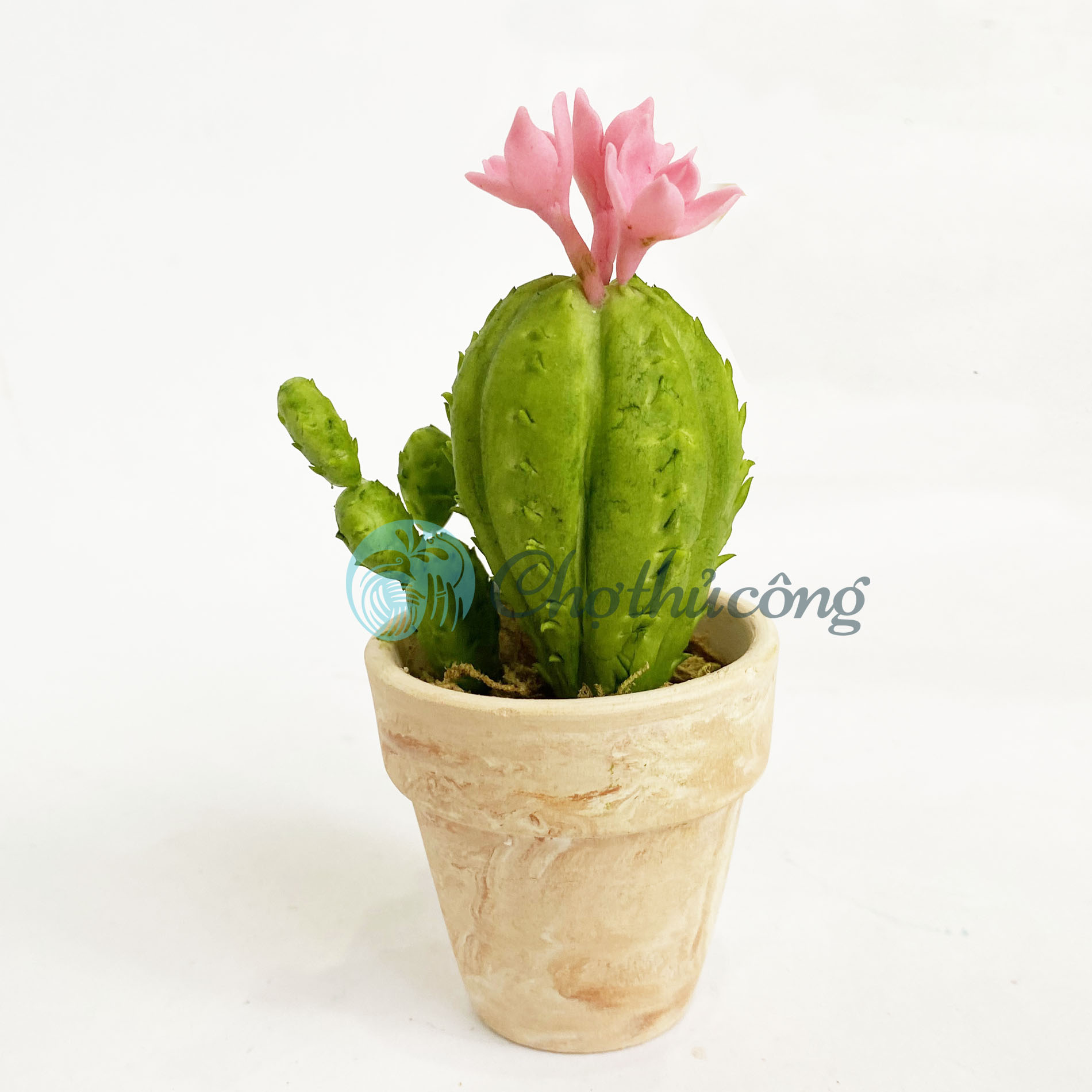 Chậu xương rồng mini giả decor - hoa đất sét Nhật thái, chậu cây mini handmade để bàn trang trí