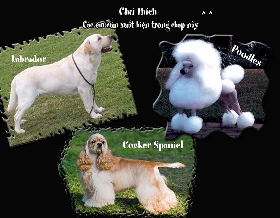 cutie boy chapter 12 54