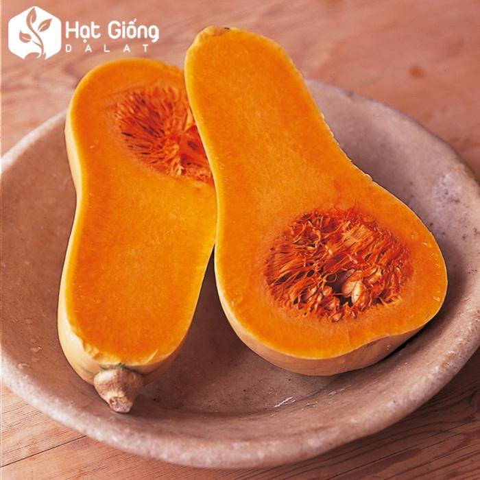 HẠT GIỐNG BÍ ĐỎ HẠT ĐẬU