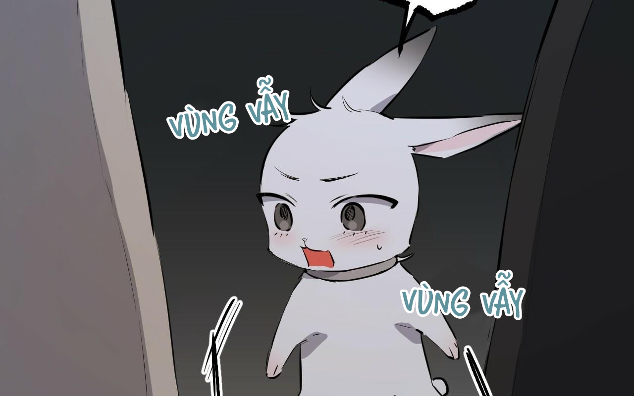 đàn thỏ của habibi chapter 46 13